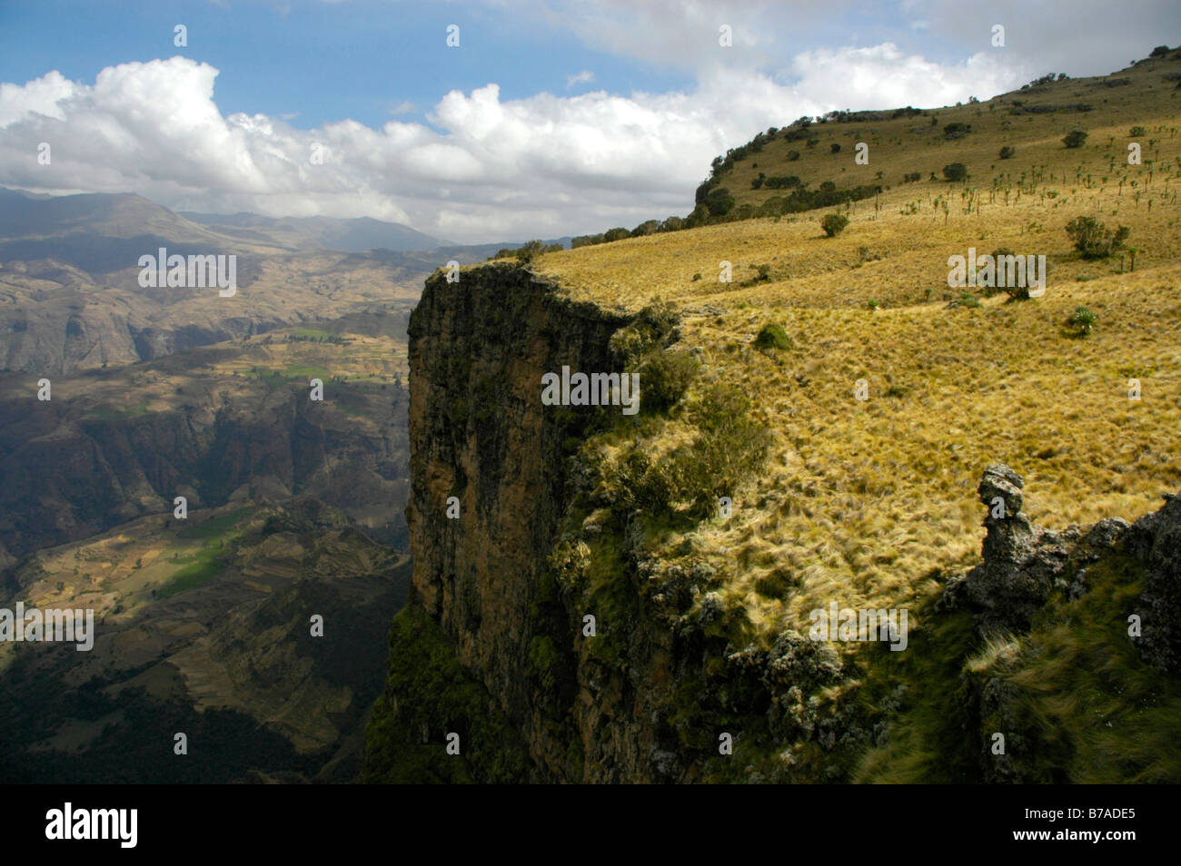 Bold falaises, face, le bord du haut plateau, montagnes Semien Nationalpark, Ethiopie, Afrique Banque D'Images