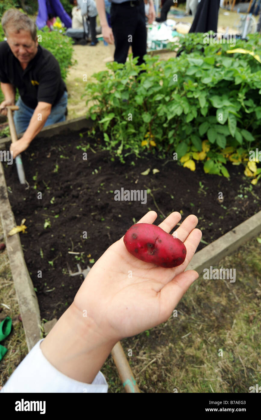 Les enfants visiter un projet d'attribution d'en apprendre davantage sur le jardinage et l'environnement Banque D'Images