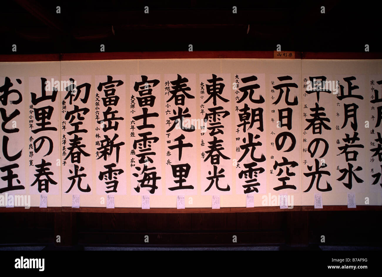 Japon, Tokyo, sanctuaire Meiji-Jingu, calligraphie japonaise Banque D'Images