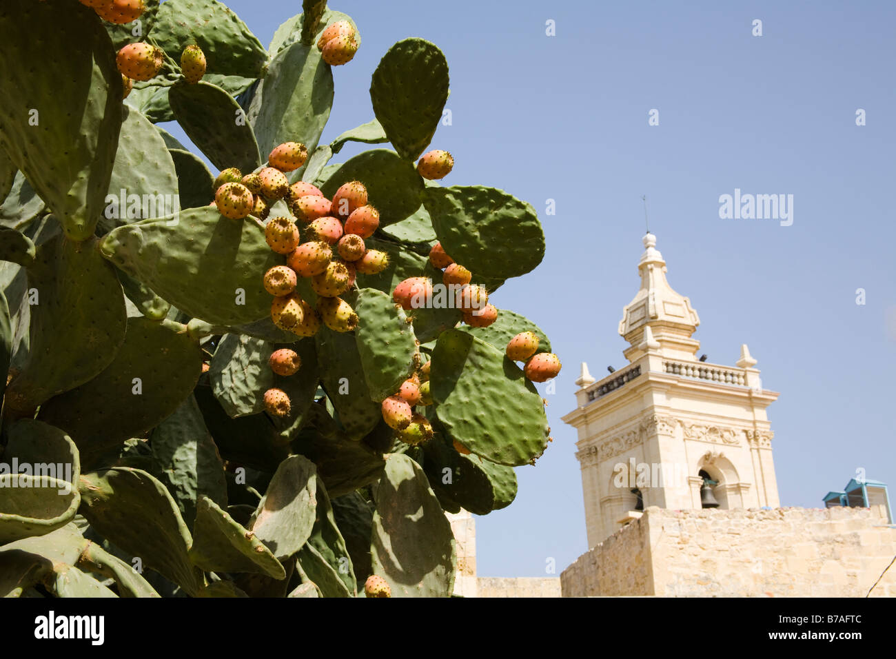 Clocher de la Cathédrale de Gozo, Pjazza Katidral, Place de la Cathédrale, Victoria, Gozo, Malte Banque D'Images