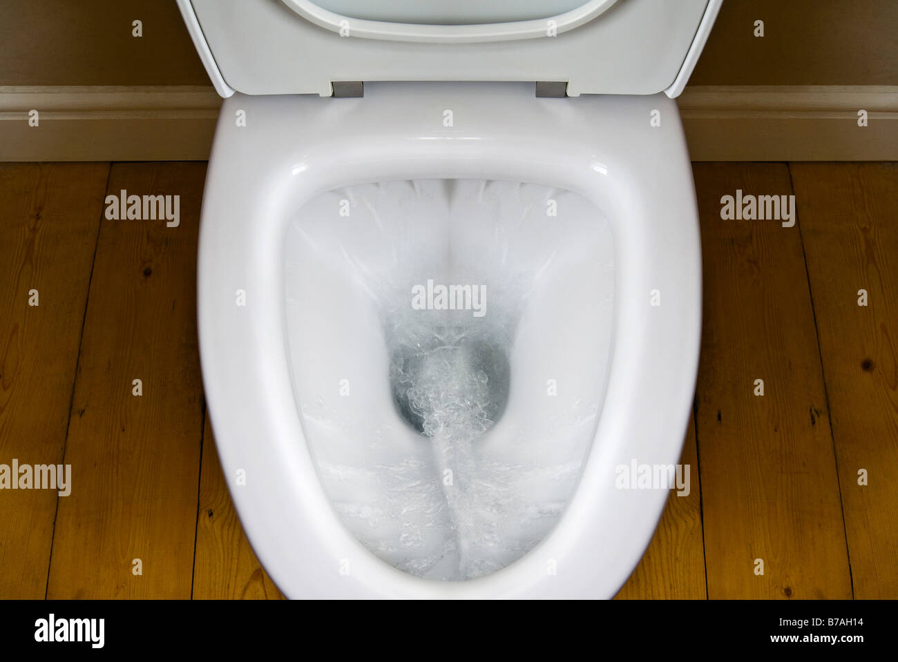 Vue de dessus de l'eau jeter dans un livre blanc sur les pan toilettes un plancher en pin Banque D'Images Vue de dessus de l'eau jeter dans un livre blanc sur les pan toilettes un plancher en pin Banque D'Images