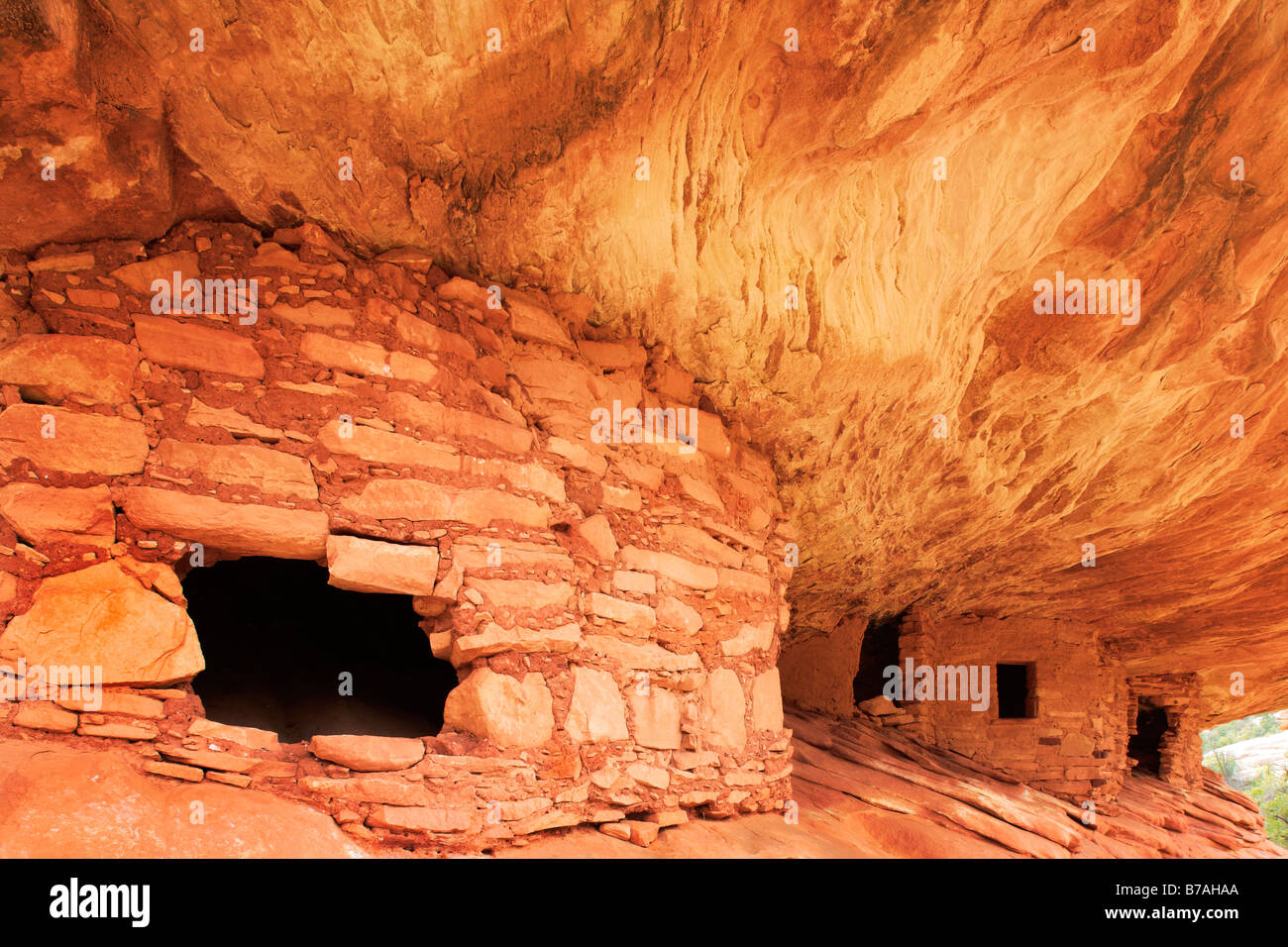'Plafond' ruine flamboyante, d'anciennes ruines Anasazi à Cedar Mesa, Utah, USA Banque D'Images