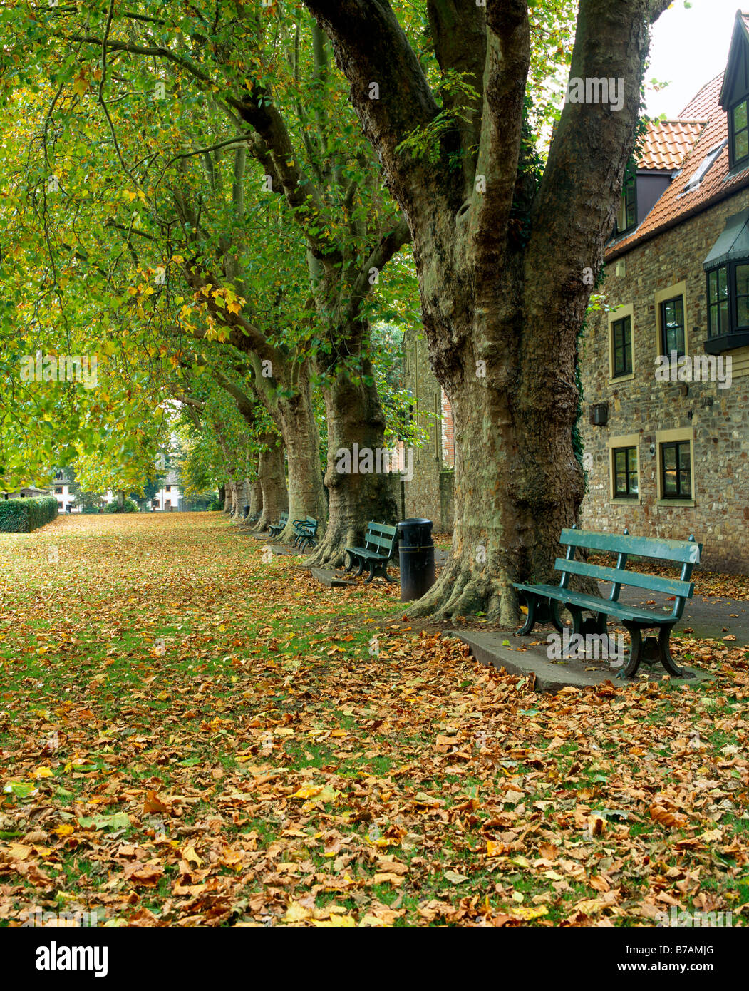 L'automne au terrain de loisirs de la ville de Wells, Somerset, Angleterre. Banque D'Images
