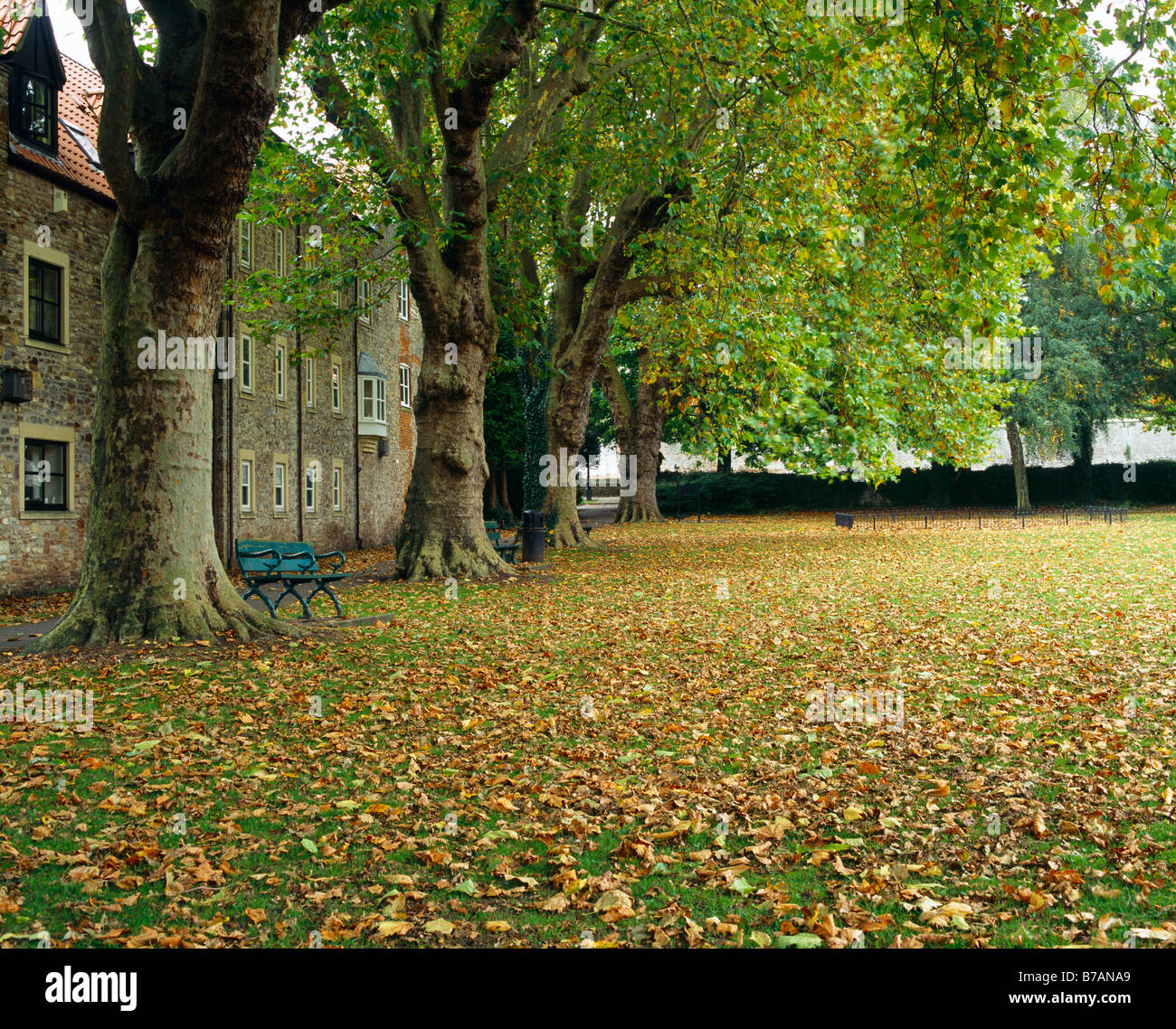 L'automne au terrain de loisirs de la ville de Wells, Somerset, Angleterre. Banque D'Images