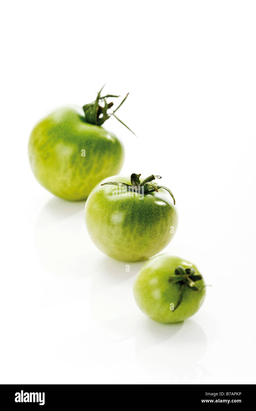 Les tomates de vigne verte Banque D'Images