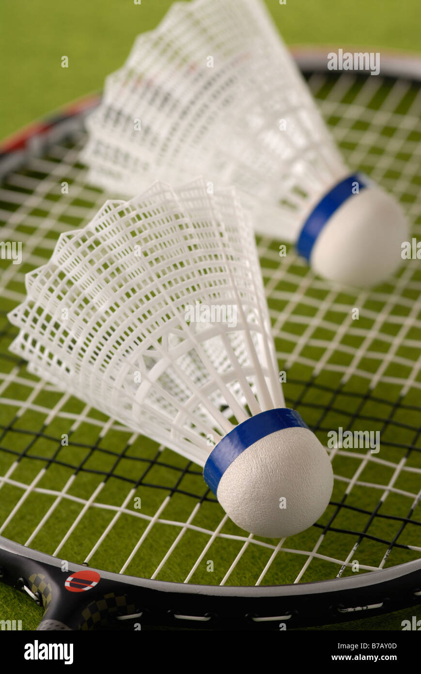 Raquette Badminton deux Birdies sur Banque D'Images