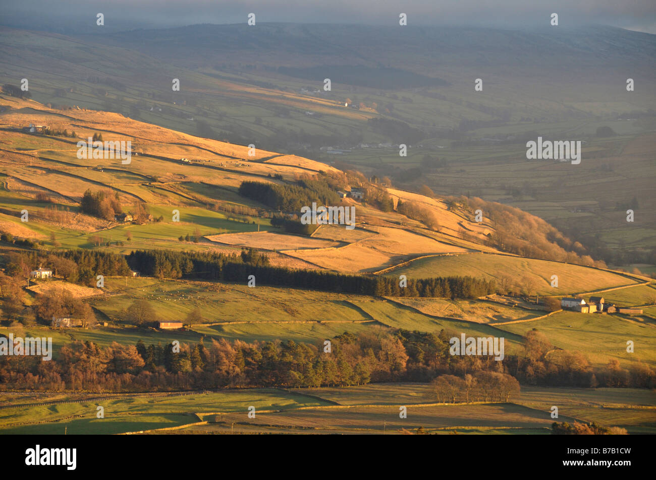 Lumière du soir sur Alston Moor Park de North Pennines est tombé, en Angleterre Banque D'Images