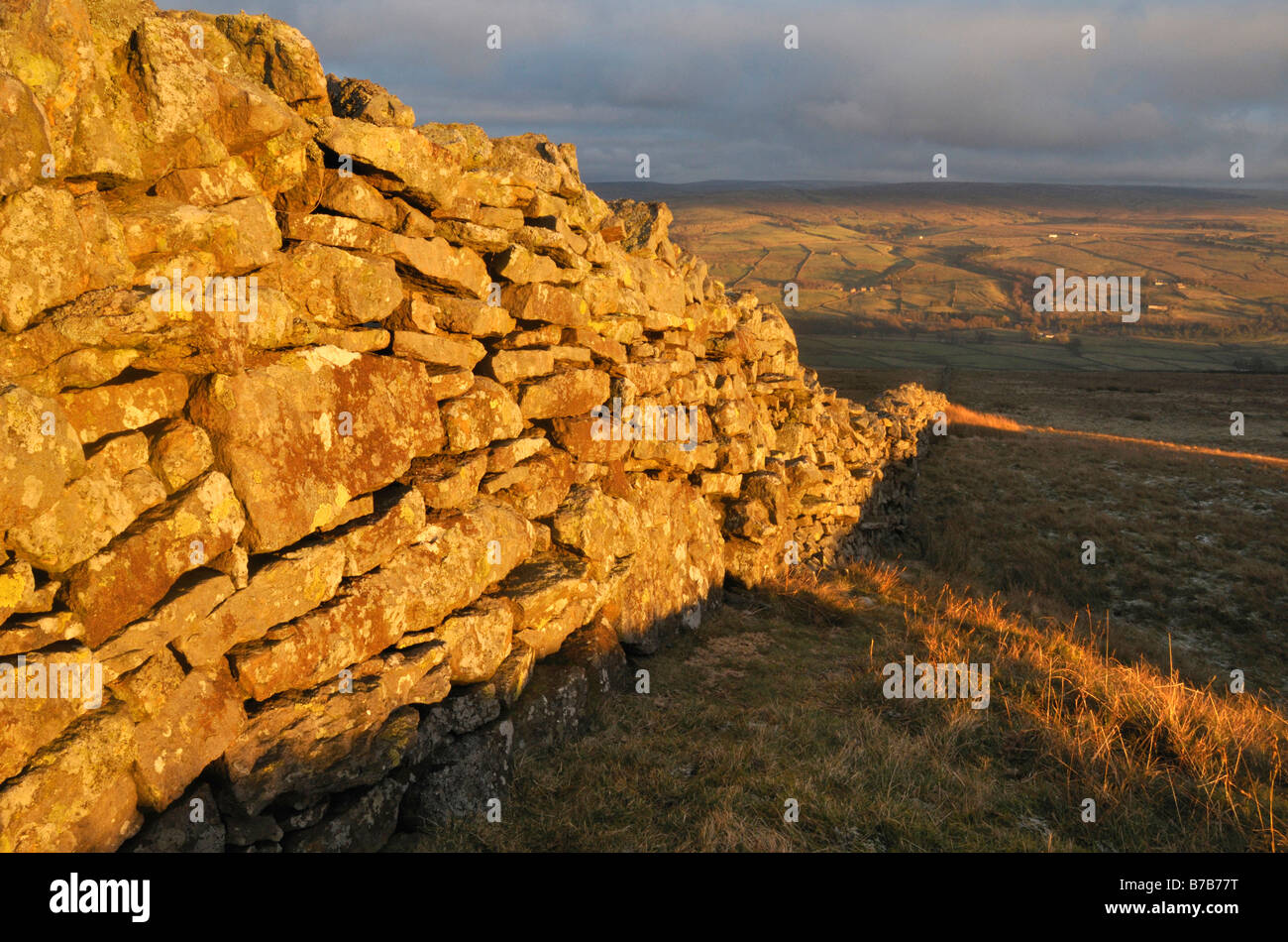 Lumière du soir sur le mur de pierre est tombé du Parc North Pennines, Angleterre Banque D'Images