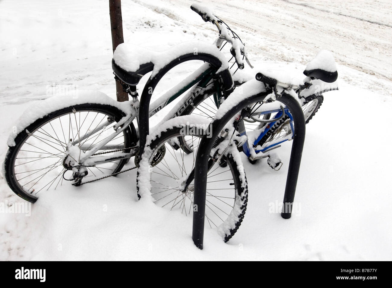Vélos couvert de neige Banque D'Images