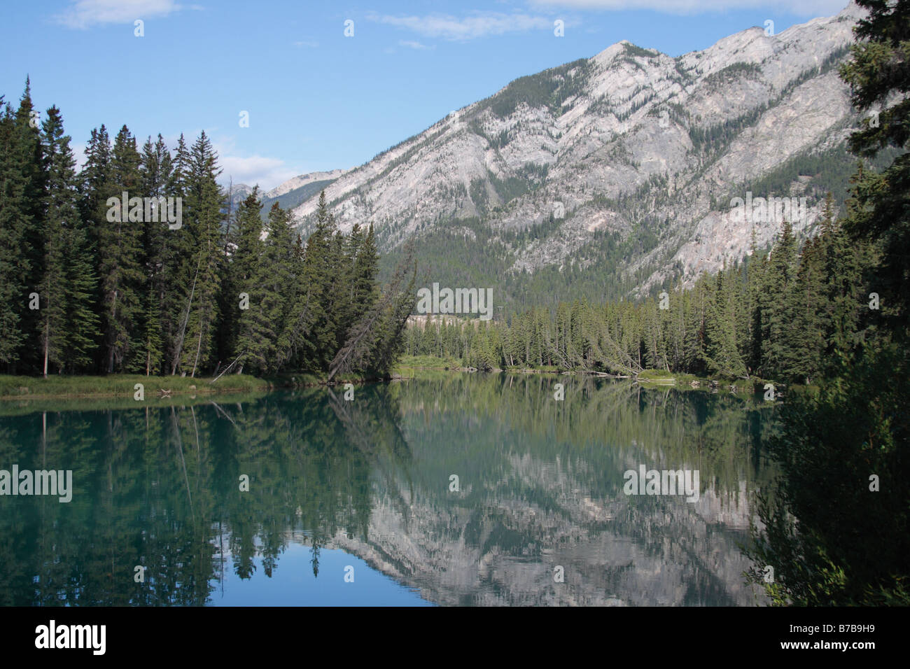 Vue du mont Norquay et la rivière Bow en Alberta, Canada. Banque D'Images