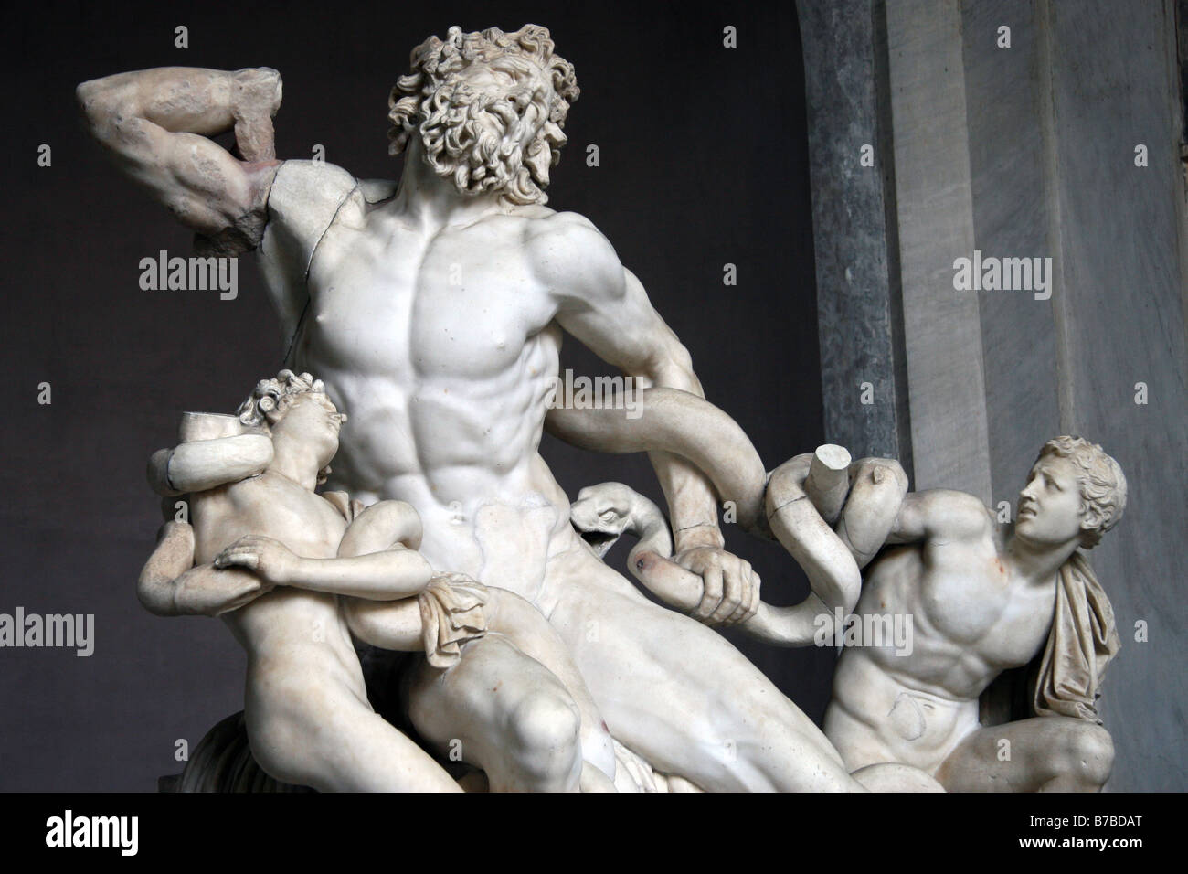 Le Laocoon dans la cour de la Cité du Vatican, Rome Banque D'Images