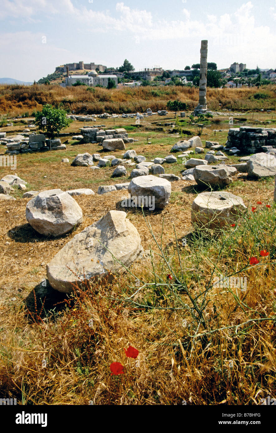 Temple d'Artémis (Diane) ruines à Éphèse était l'une des Sept Merveilles du Monde Banque D'Images