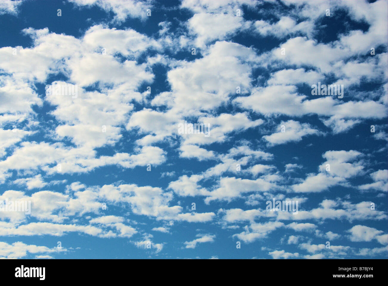 Les nuages blancs moelleux contre un ciel bleu Banque D'Images