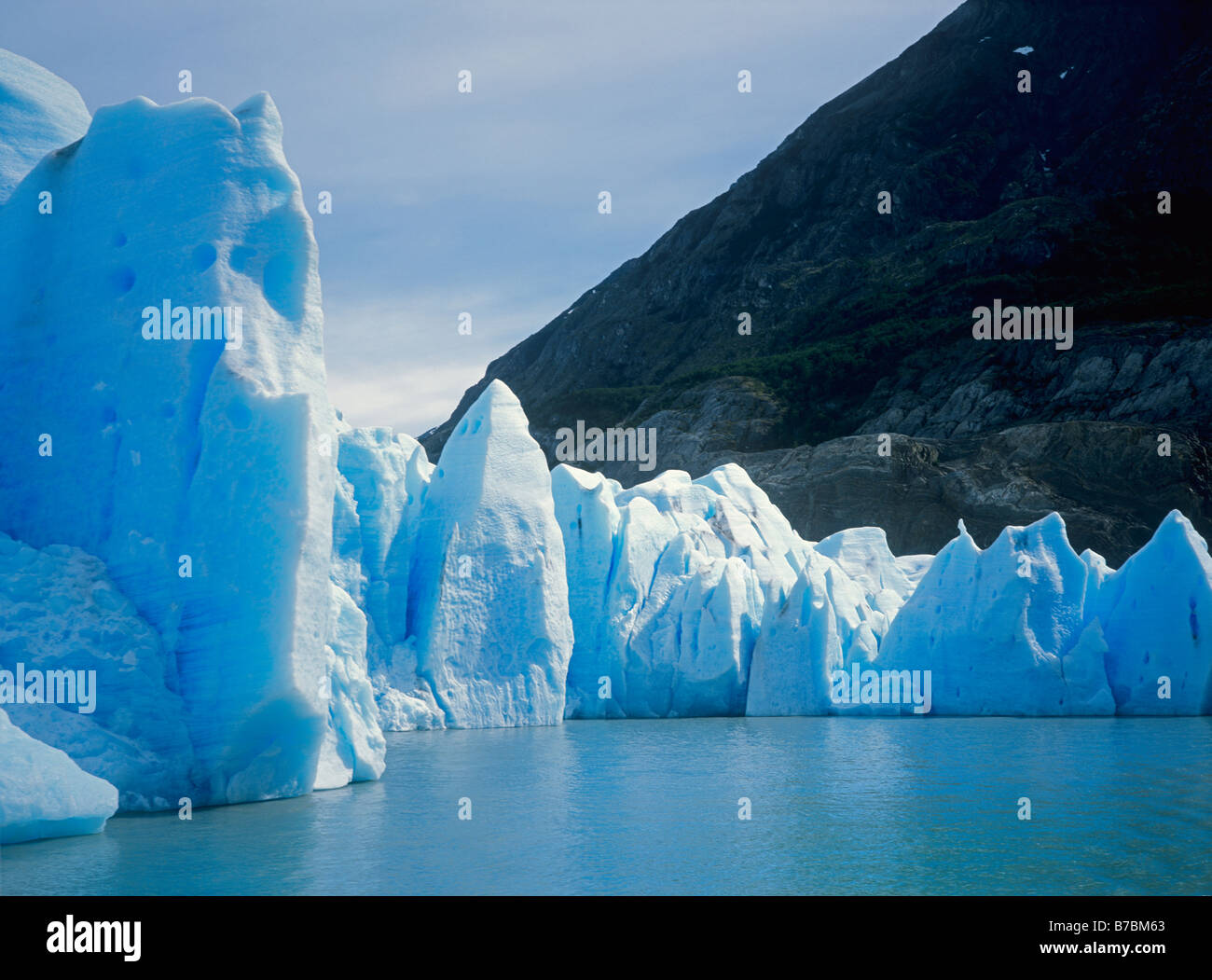 Le grand mur de glace de glacier Grey alors qu'il entre dans le lac Grey DANS LE PARC NATIONAL DES TORRES DEL PAINE PATAGONIE CHILI Banque D'Images
