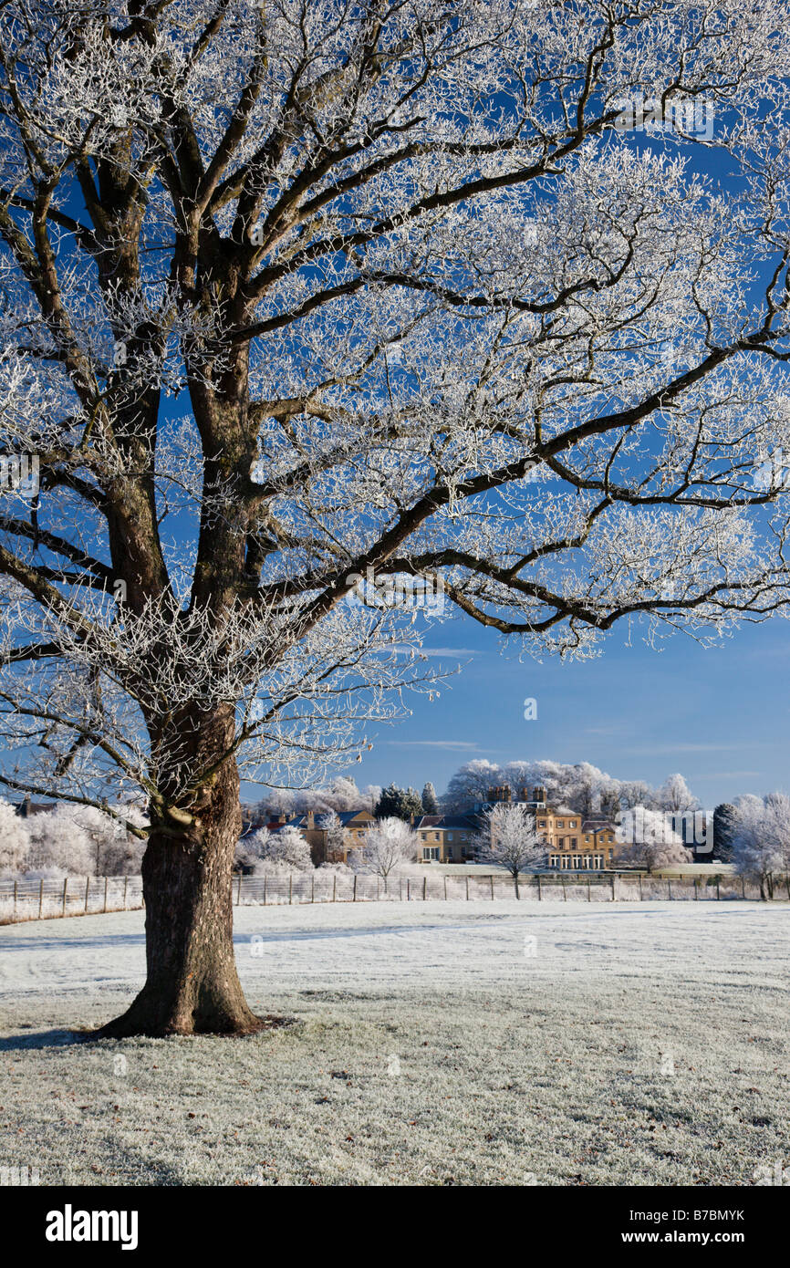 L'Ecosse en hiver Kelso sur la rivière Tweed Banque D'Images