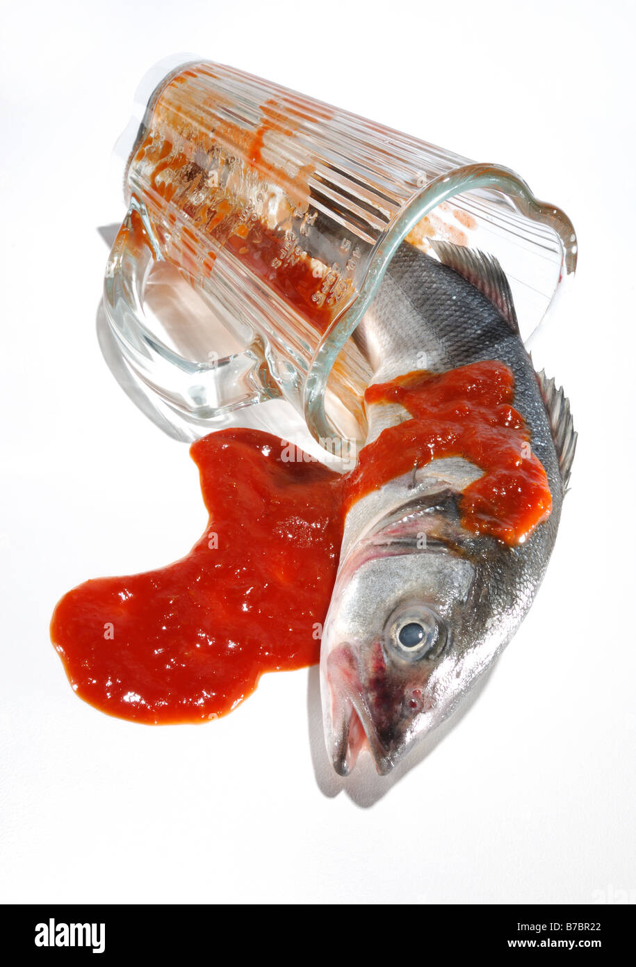Un petit poisson entier recouvert de sauce rouge à l'intérieur d'un mélangeur en verre Banque D'Images