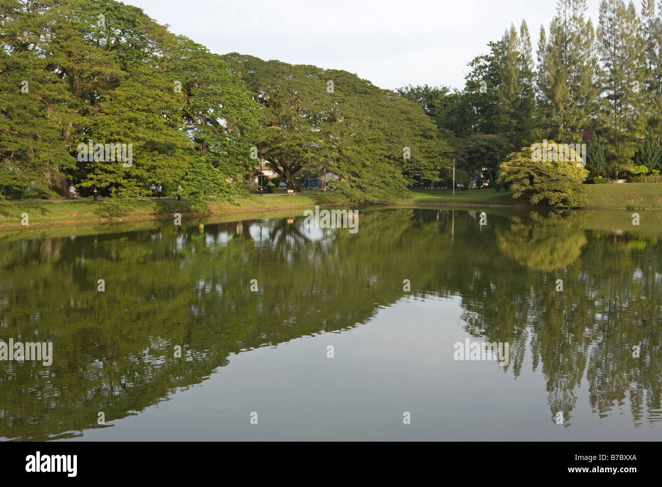 Jardins du lac, Taiping, Perak, Malaisie Banque D'Images
