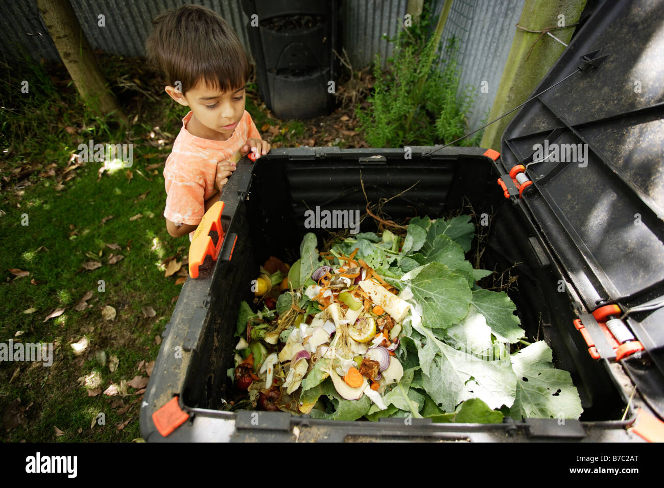 Six ans ressemble en compost bin in garden Banque D'Images