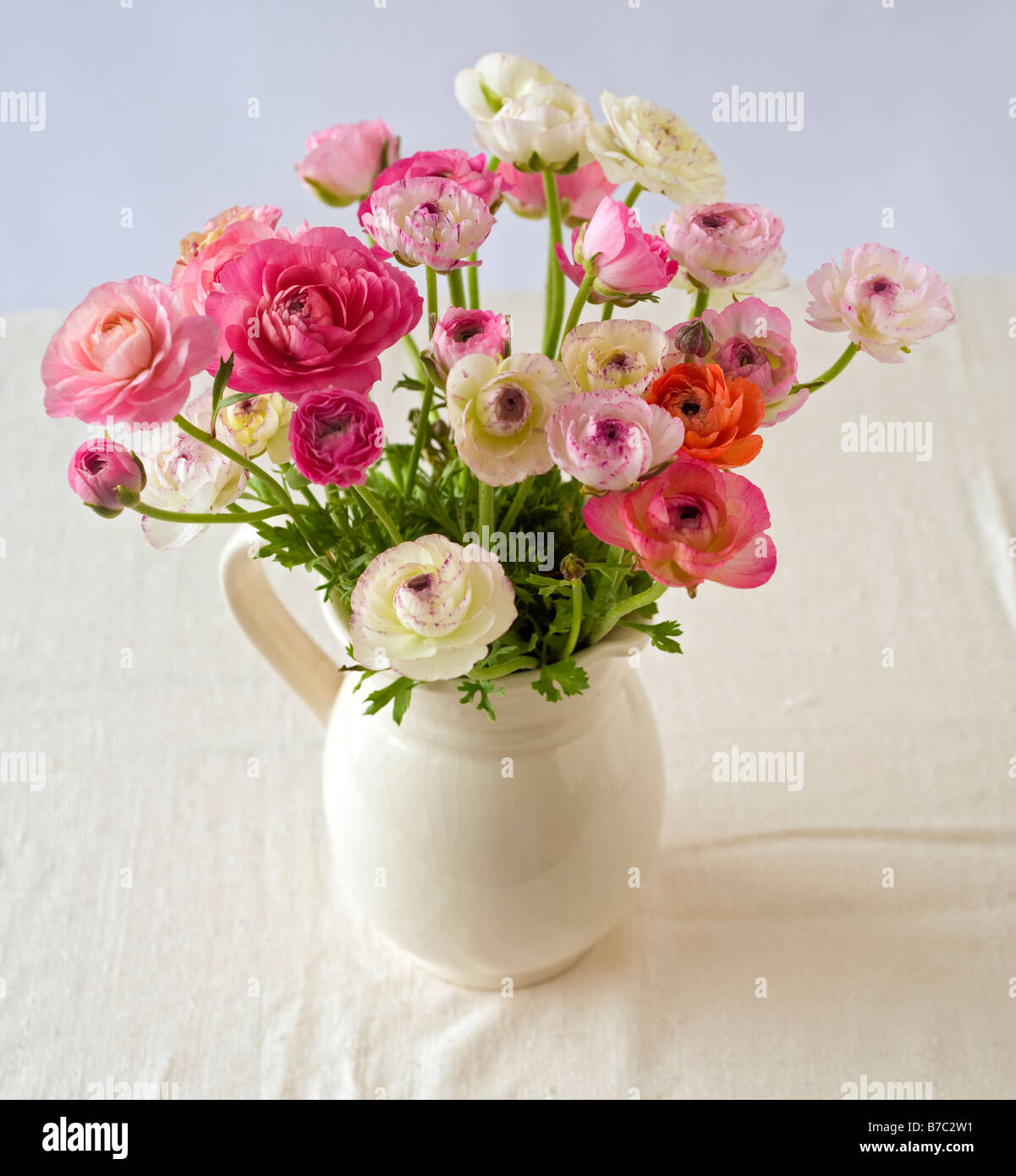 Bouquet de renoncules fleurs dans un pichet en céramique Photo Stock - Alamy