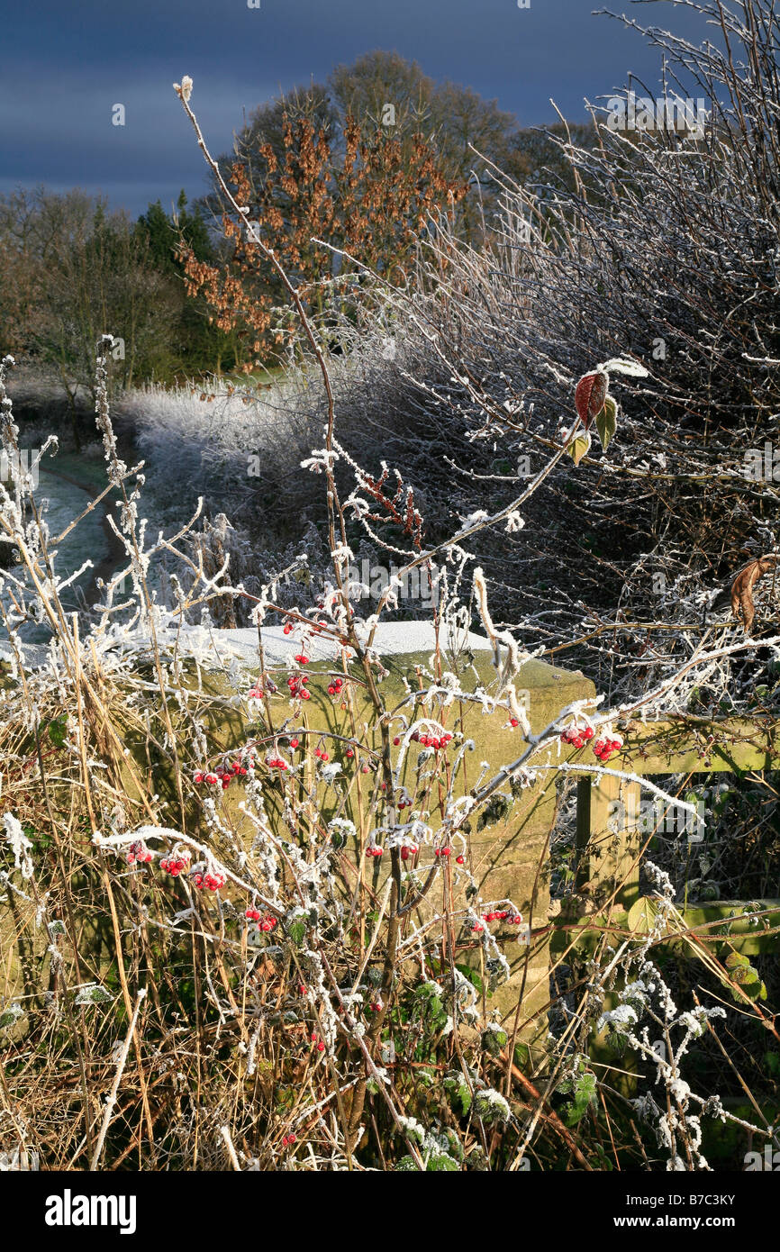 Les hivers un matin sur le canal entre Macclesfield & Bollington Banque D'Images