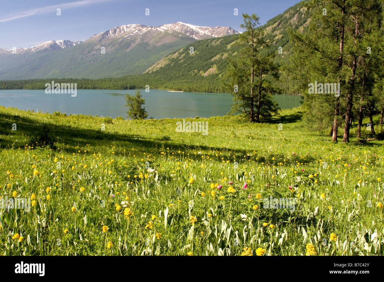 Le lac Kanas dans l'Altay Montagnes en Kanas parc national dans le Xinjiang en Chine. Banque D'Images