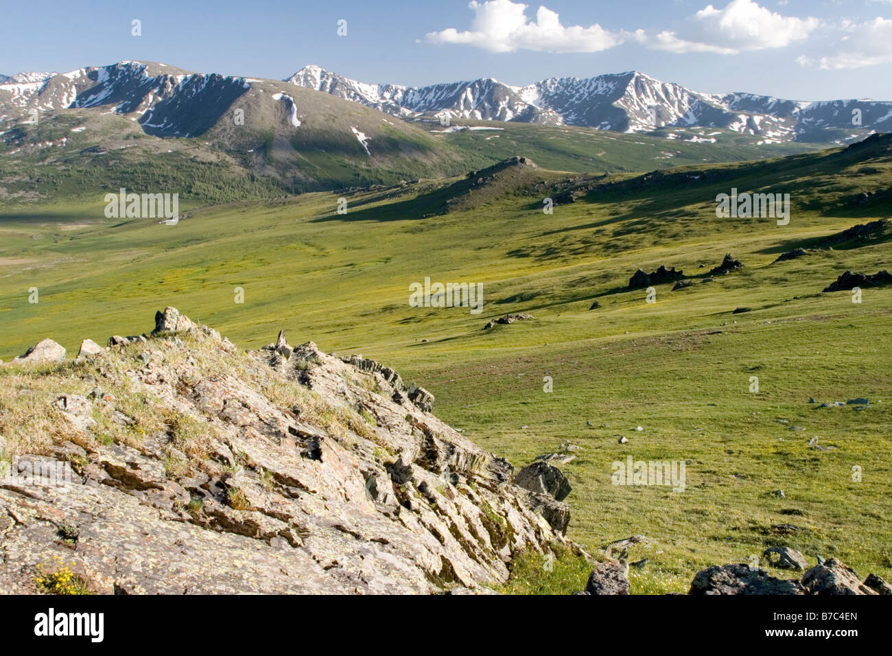 Les prairies et les sommets de montagne dans les montagnes de l'Altaï à Kanas dans le Xinjiang en Chine. Banque D'Images
