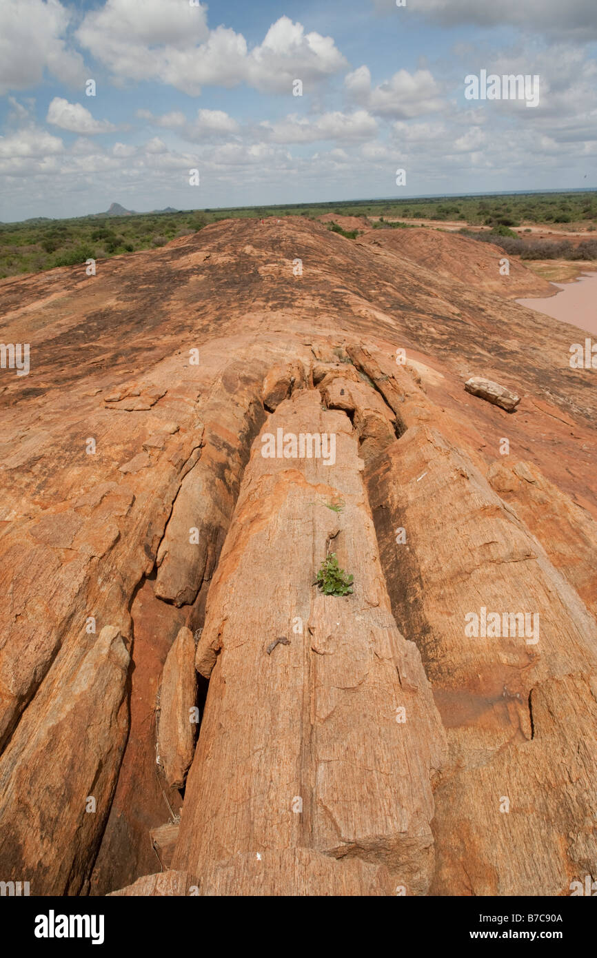 Mudunda Rock Tsavo East National Park Kenya Banque D'Images