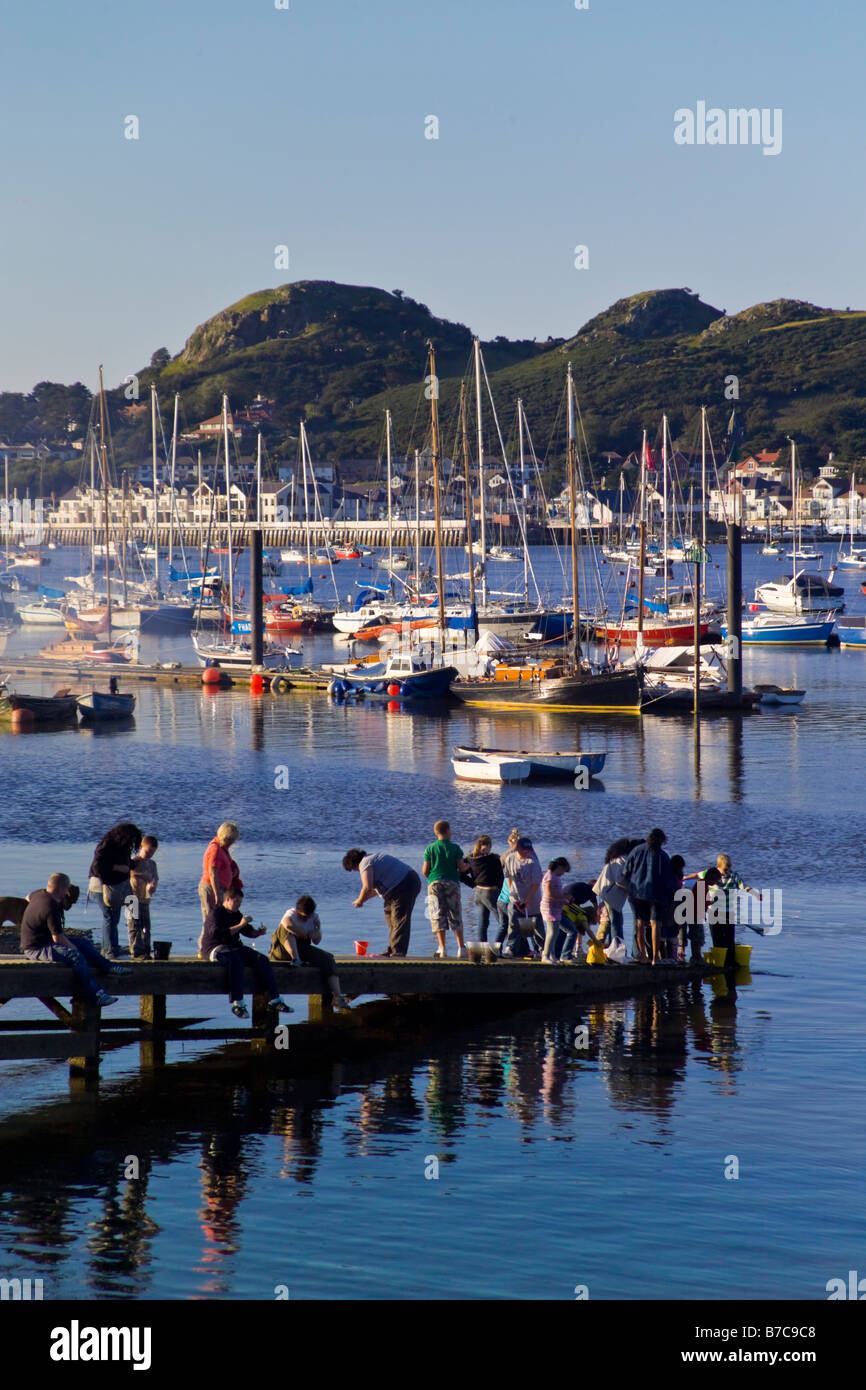 Les personnes pêchant à marée basse à partir de la fin de la Jetée sur la rivière Conwy à Conwy Banque D'Images