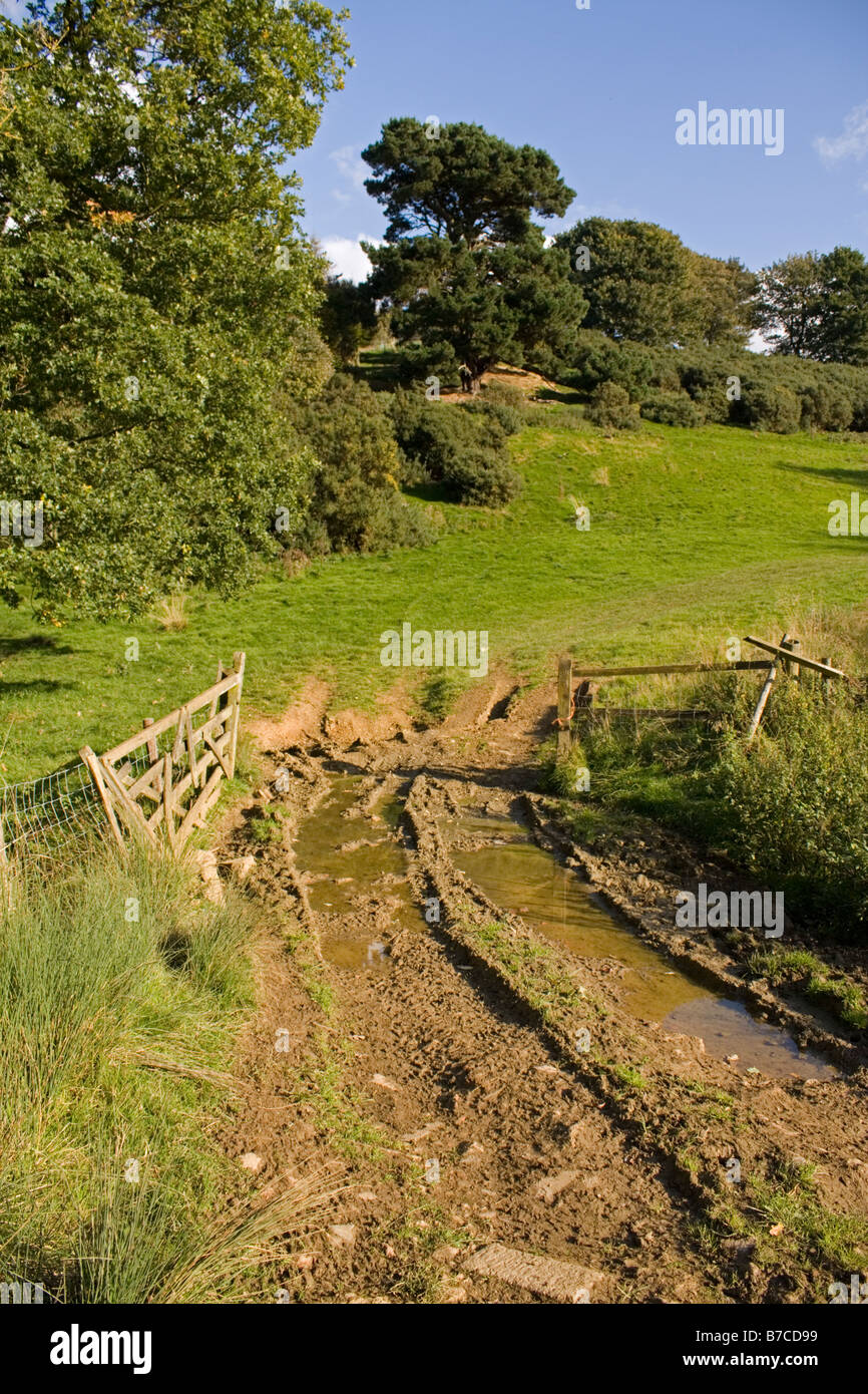 Passerelle boueux sur Cotswold Farm UK Banque D'Images