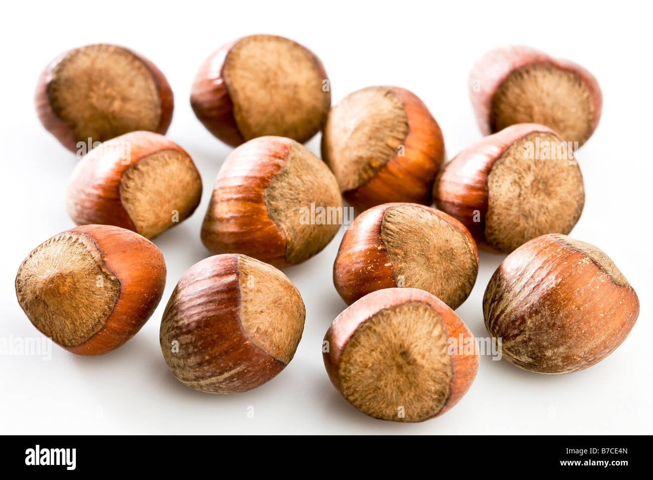 Noisettes Banque D'Images