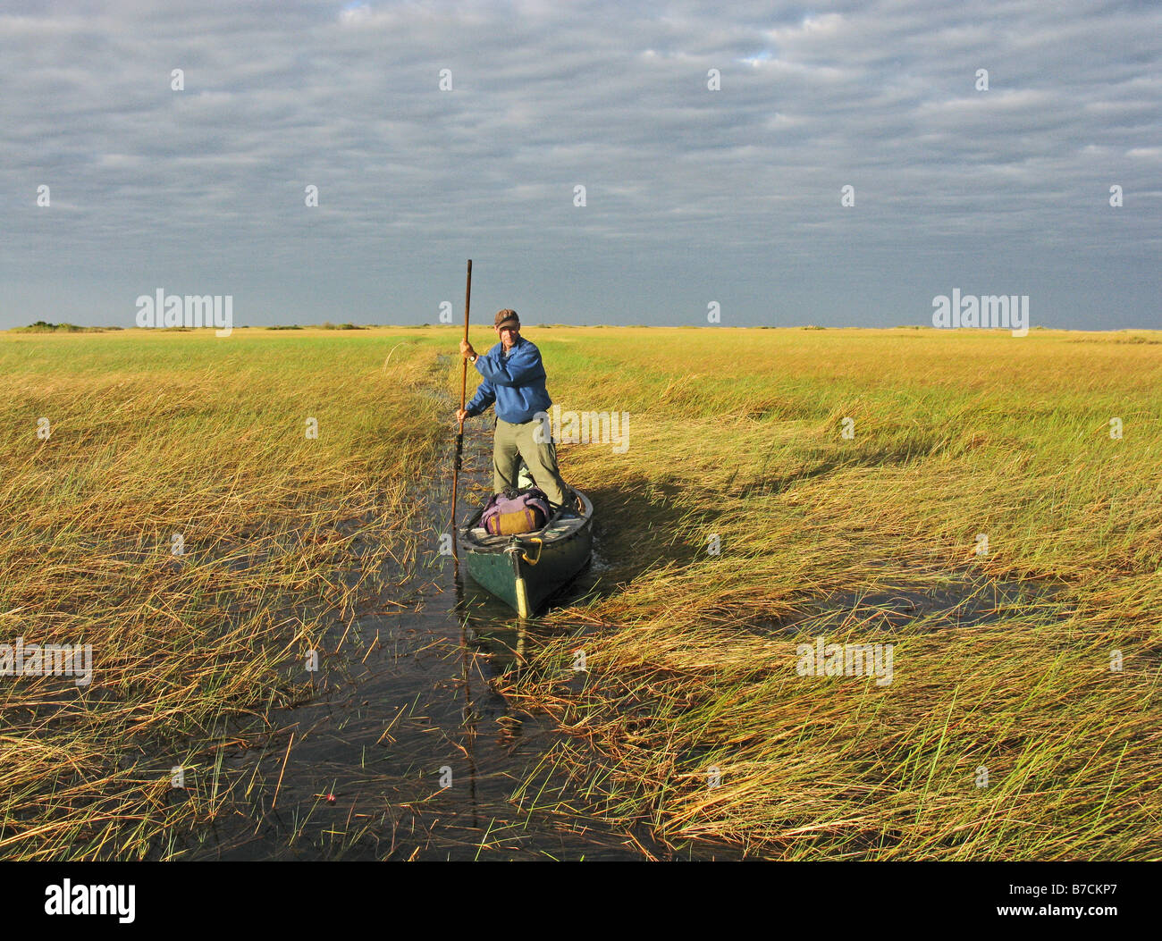 Phil Harwood en utilisant un pôle à l'entraînement de l'herbe en canoë de bangweulu swamp bancs dans des milieux humides de la Zambie au Congo River Banque D'Images