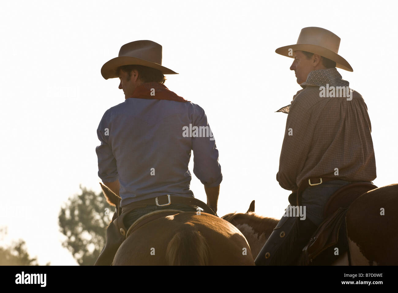 Vue arrière des deux cow-boys de l'équitation Banque D'Images