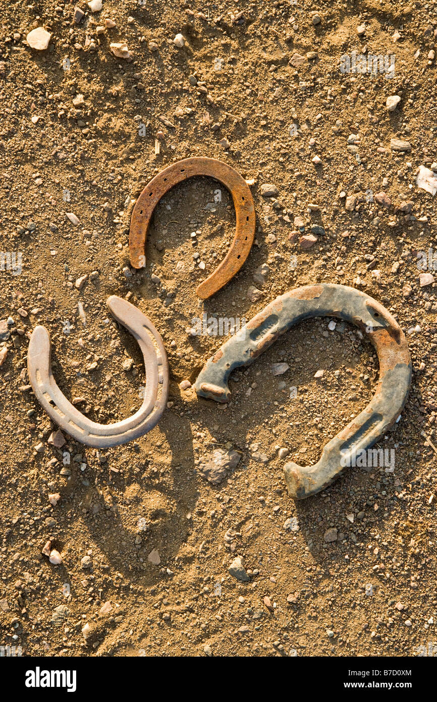 Three horseshoes sur le terrain Banque D'Images