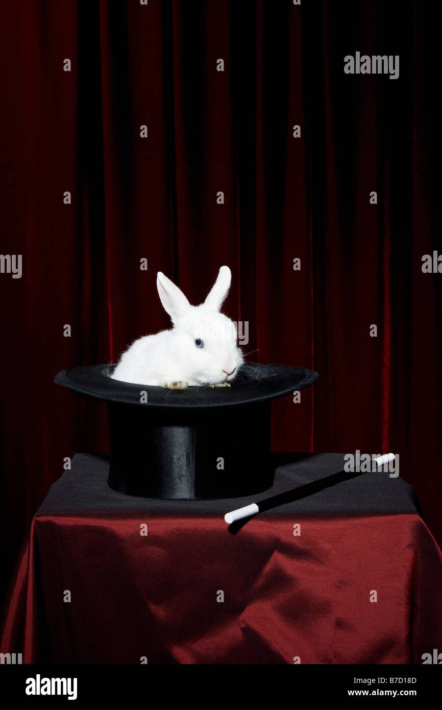 Un lapin dans un chapeau avec une baguette magique à proximité Banque D'Images