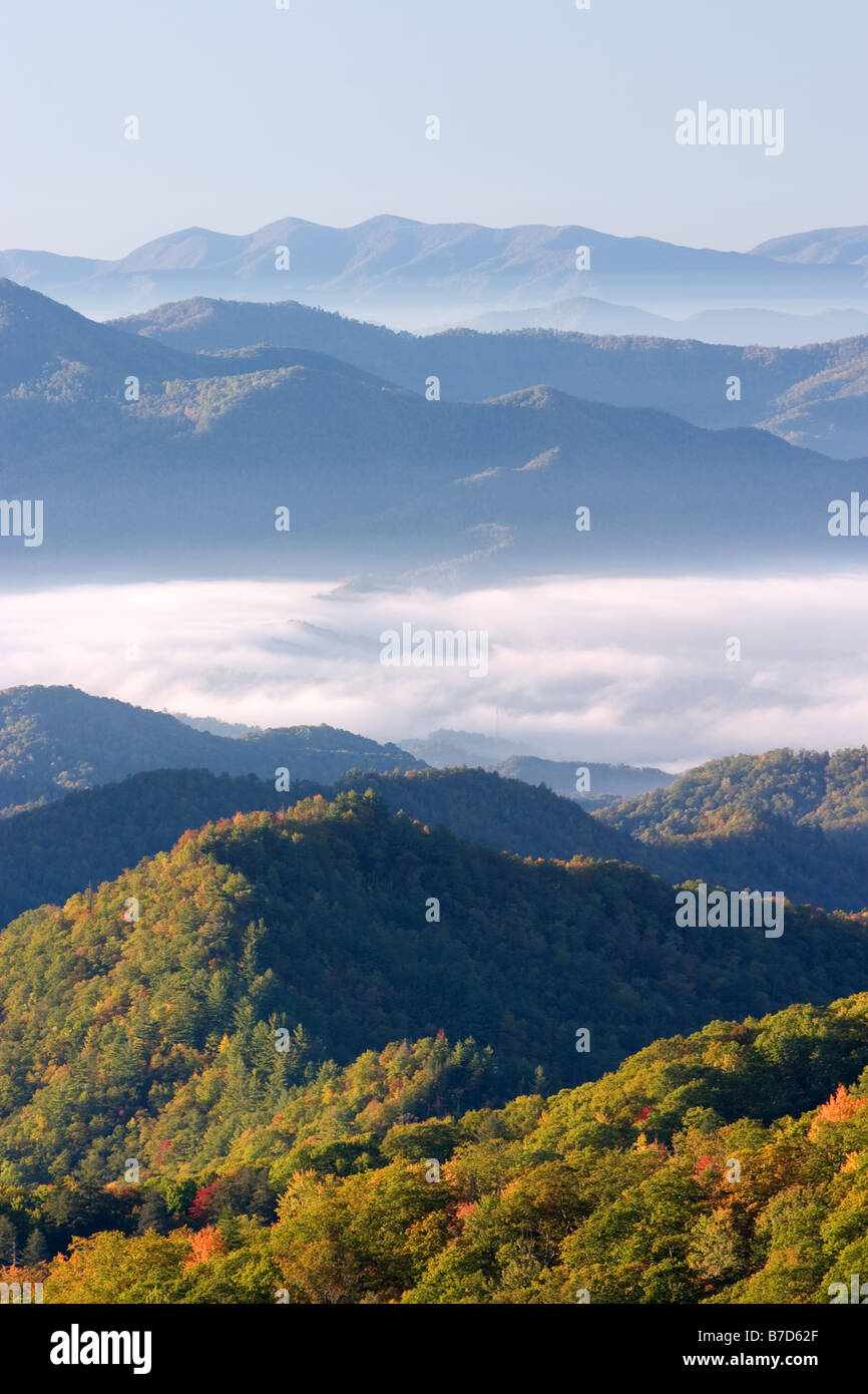 Vallée remplie de fumée dans les Great Smoky Mountains Banque D'Images