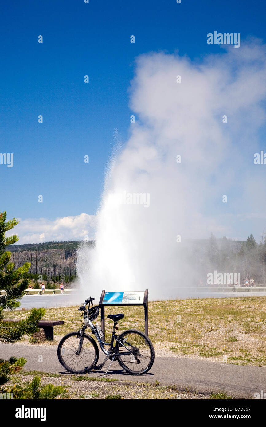 Daisy geyser Old Faithful, le Parc National de Yellowstone, Wyoming, États-Unis d'Amérique (USA), en Amérique du Nord Banque D'Images