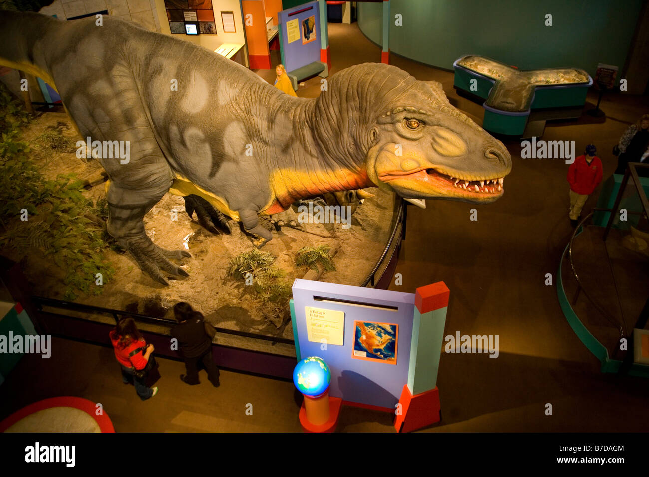 T Rex à St Louis Science Centre Banque D'Images