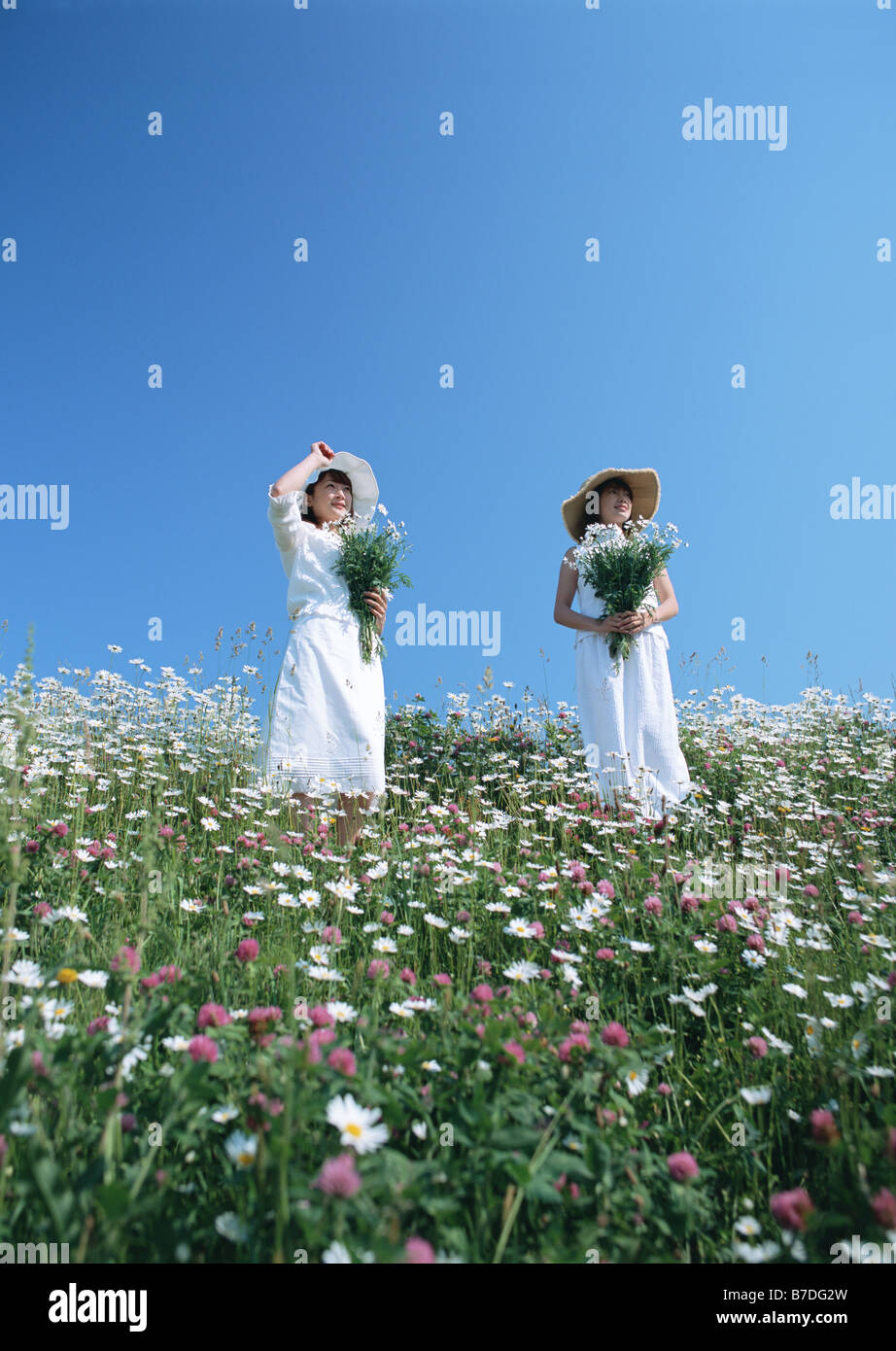 Les femmes dans le champ de fleurs Banque D'Images