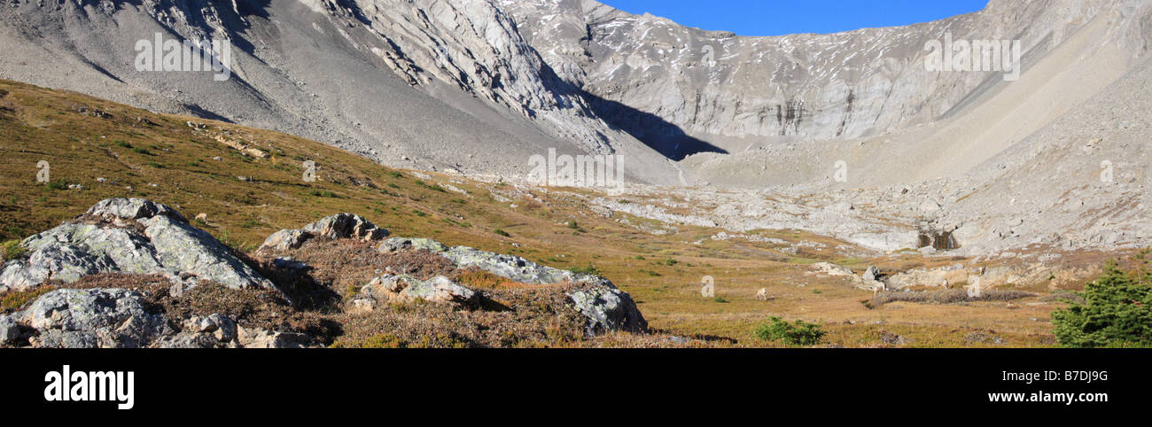 Ptarmigan Cirque sentier au col de la rivière Highwood dans la région de Kananaskis, Alberta Banque D'Images
