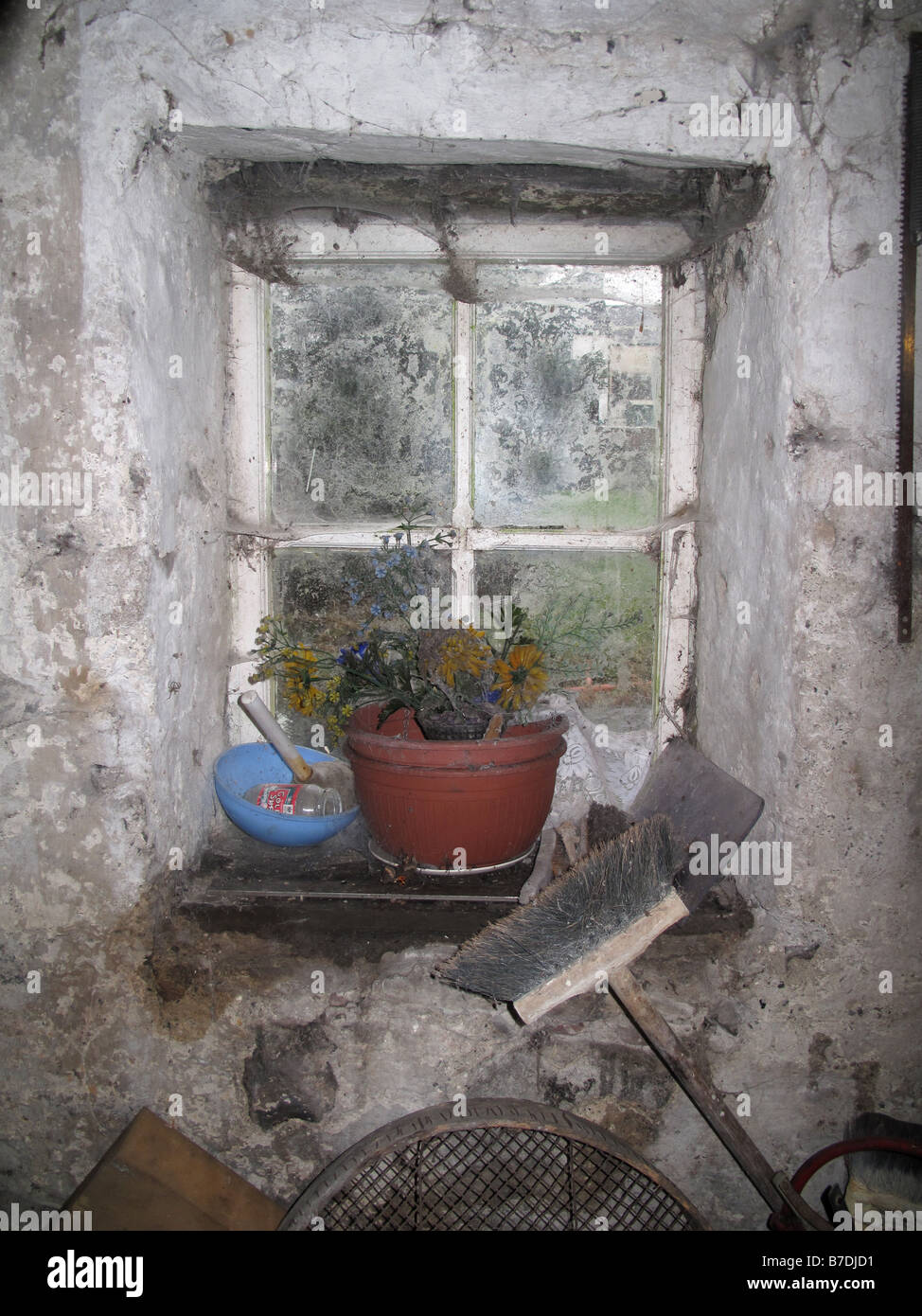 Les fleurs mortes à fenêtre cottage Banque D'Images