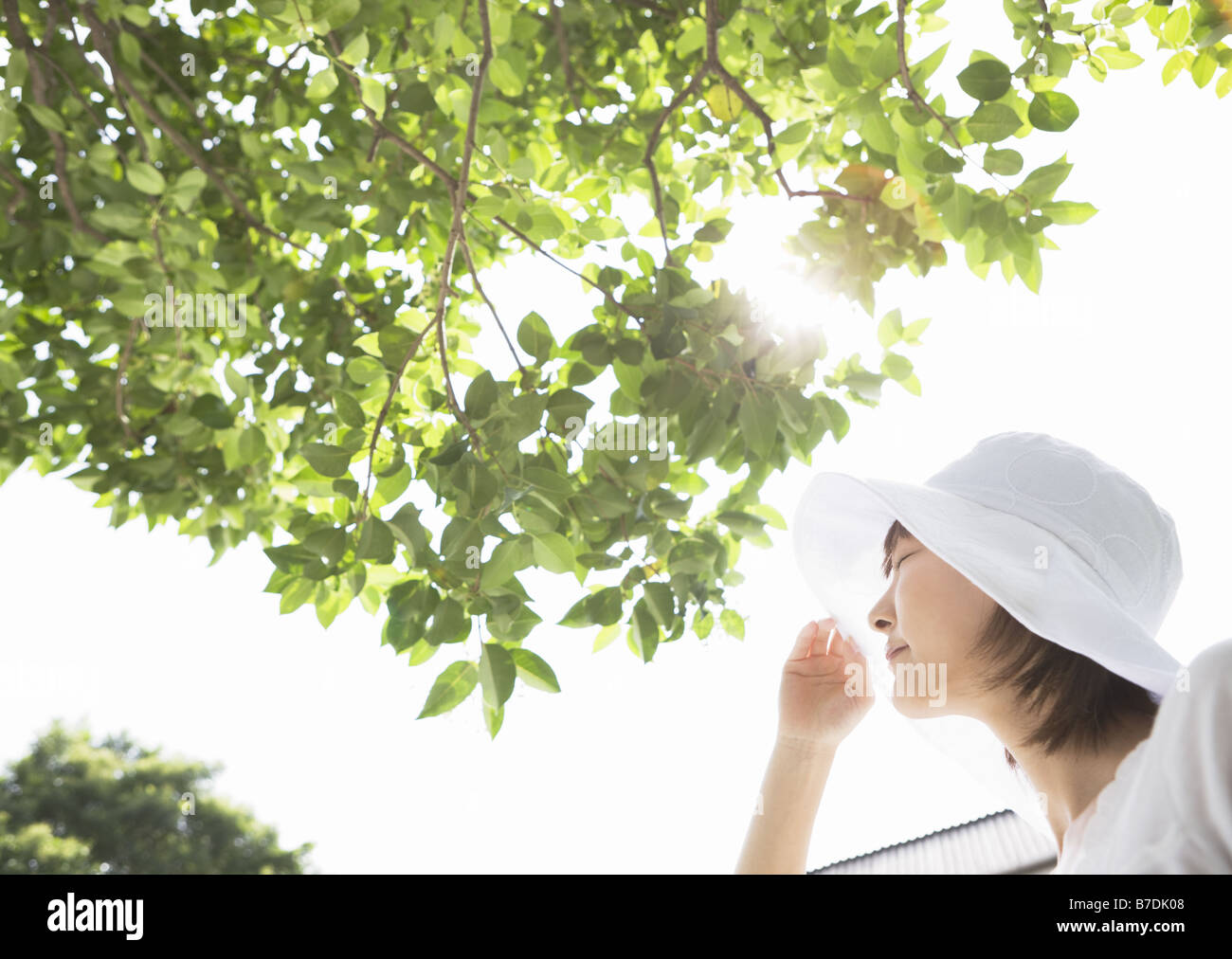Une femme sous l'arbre Banque D'Images