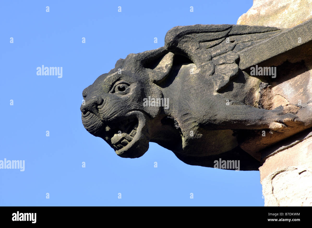 Gargoyle sur l'église St Mary, Moseley, Birmingham, Angleterre, RU Banque D'Images