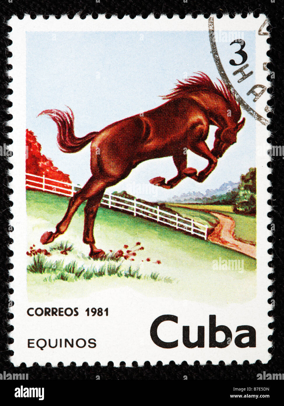 Cheval, timbre-poste, Cuba, 1981 Banque D'Images