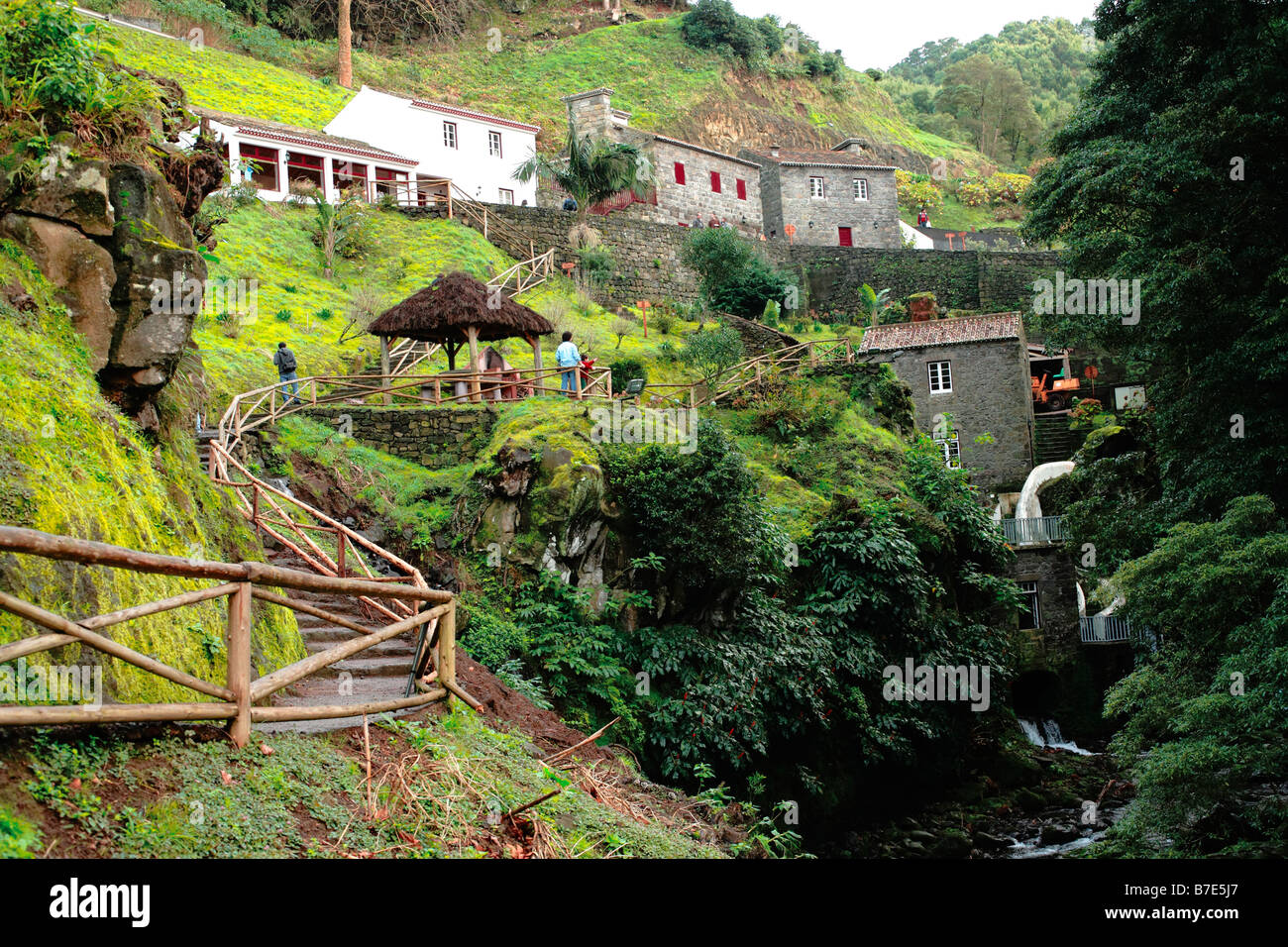 Ribeira dos Caldeiroes Park. Nordeste, l'île de São Miguel, Açores, Portugal. Banque D'Images