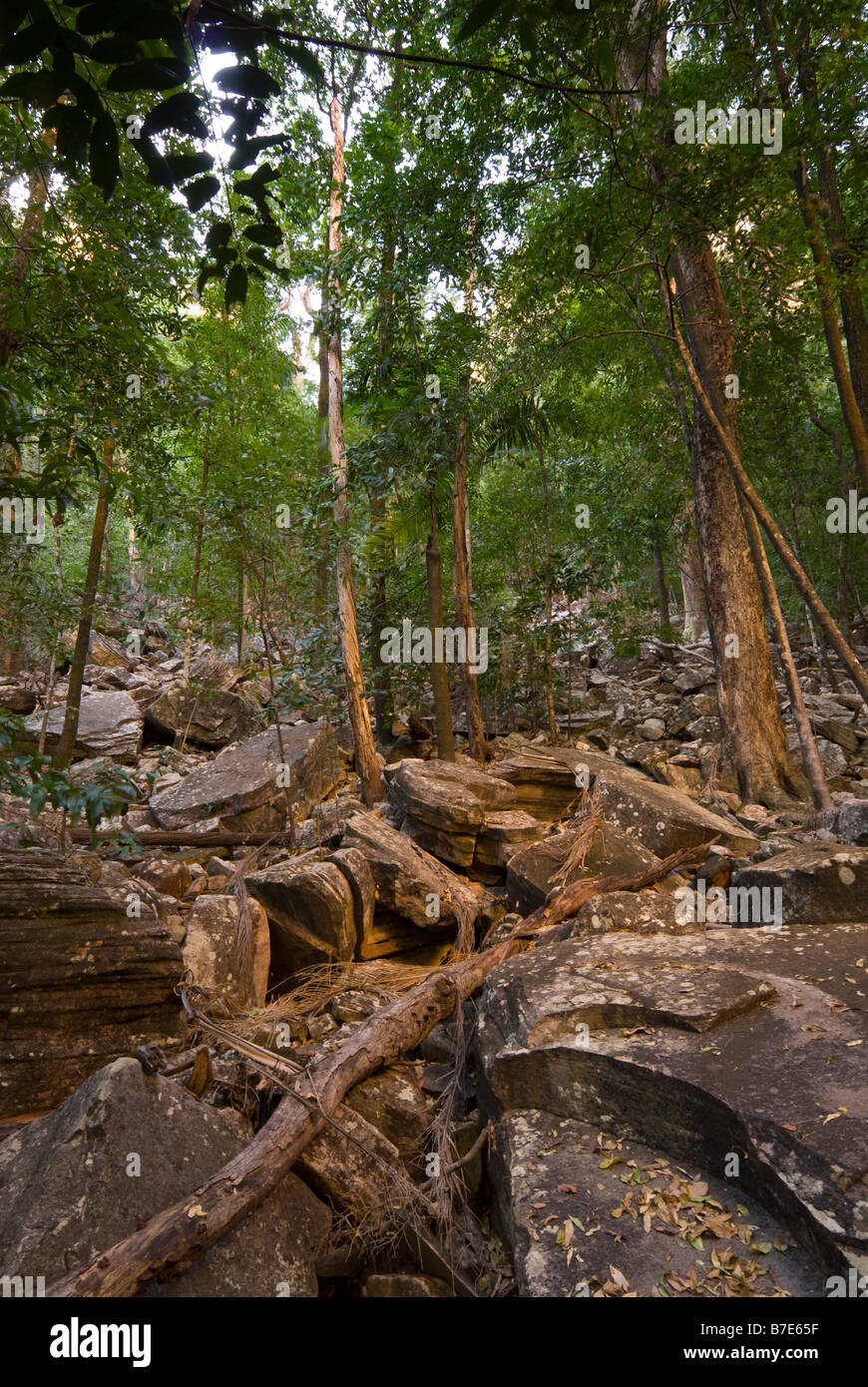 Forêt de mousson et cailloux/des rochers près de Jim Jim Falls dans le Kakadu National Park Banque D'Images