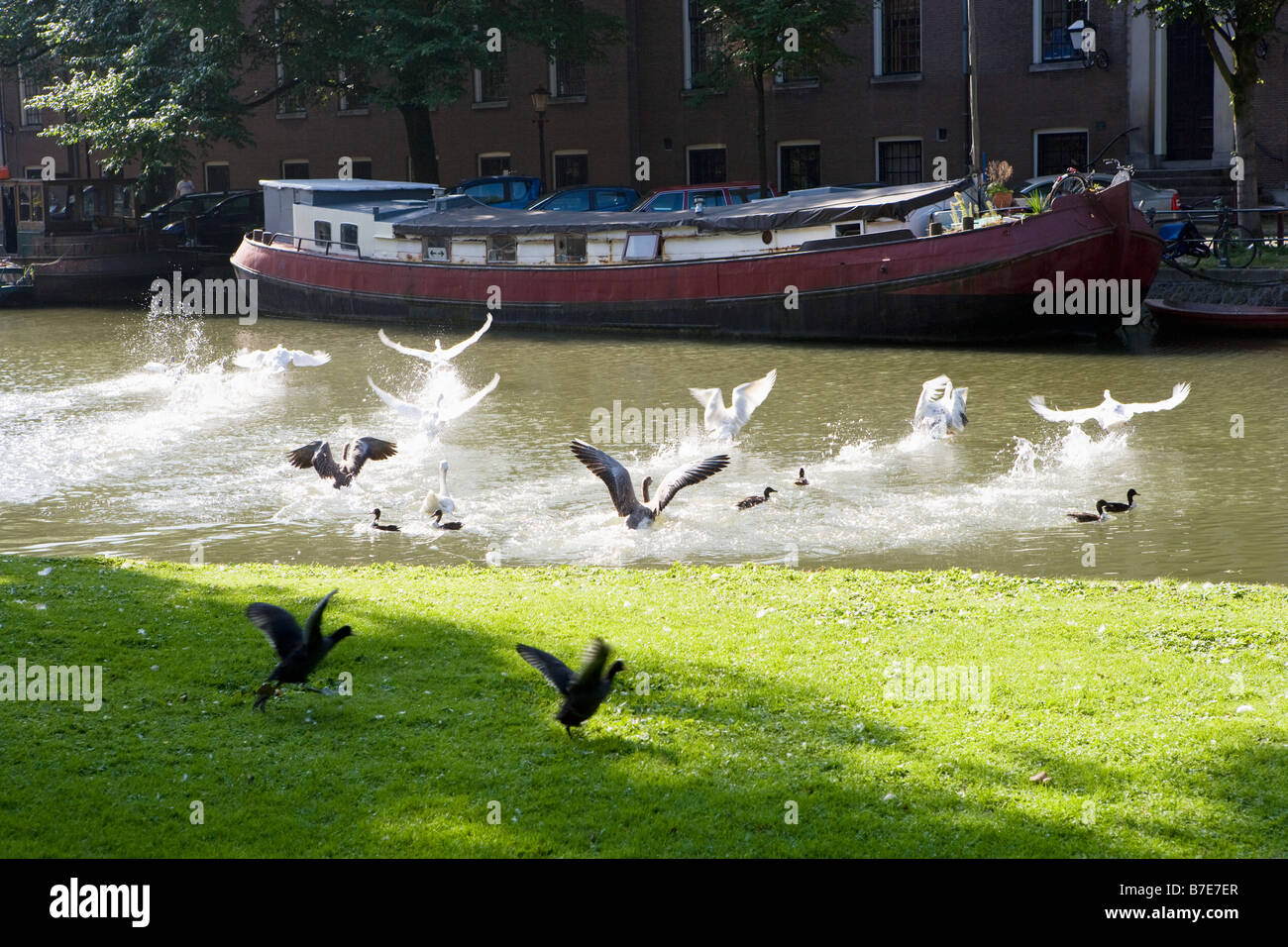 Neiges sur canal à Amsterdam Banque D'Images