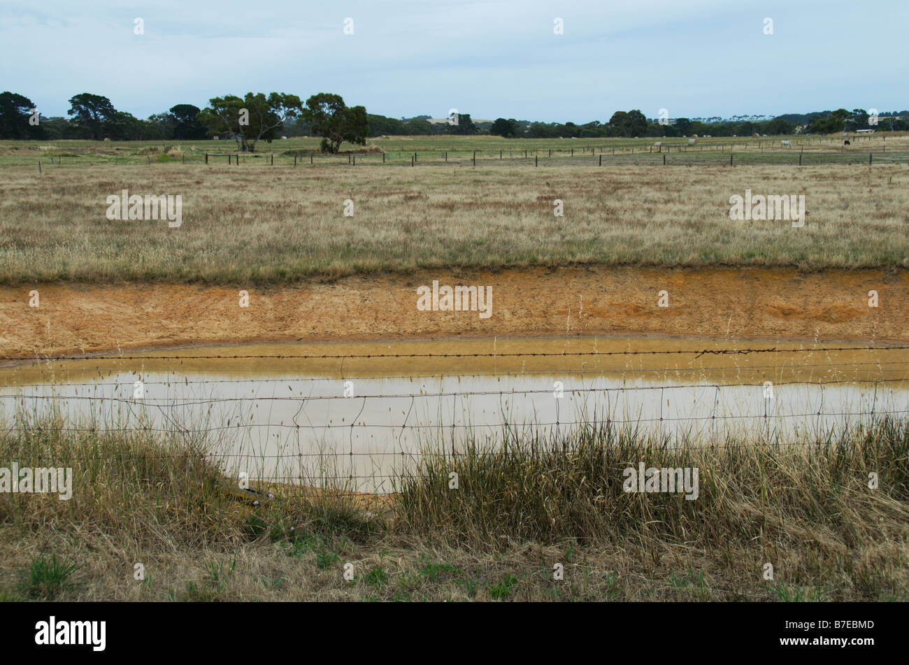 Muddy Waters remplissez à moitié un barrage dans le sud de l'Australie frappé par la sécheresse, en décembre malgré les reflets verts sur le terrain. Banque D'Images