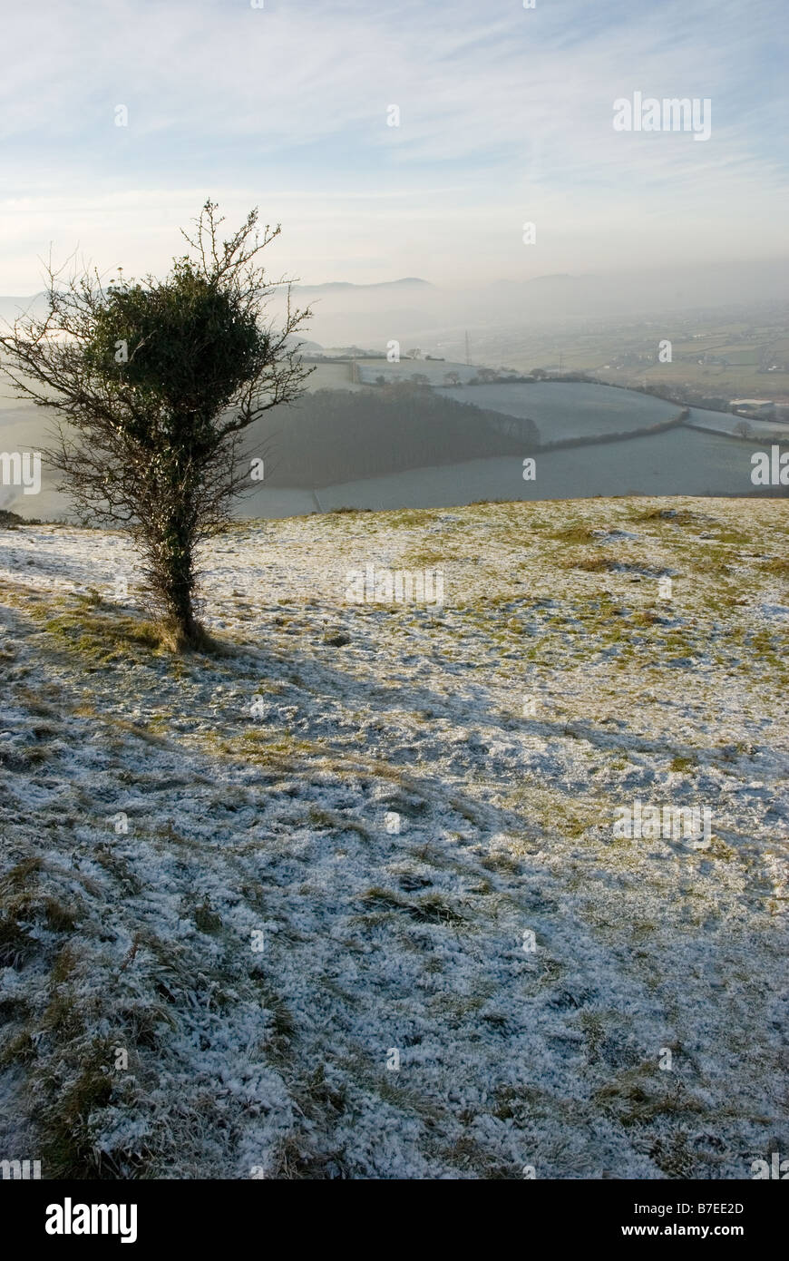 Champ couvert de givre Banque D'Images