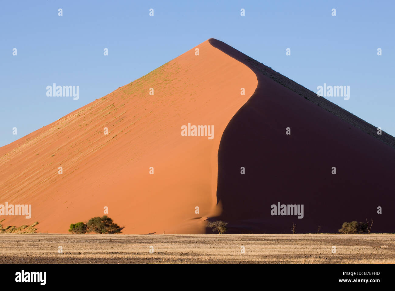 Une dune rouge sculpté à Sossusvlei, Namibie Banque D'Images