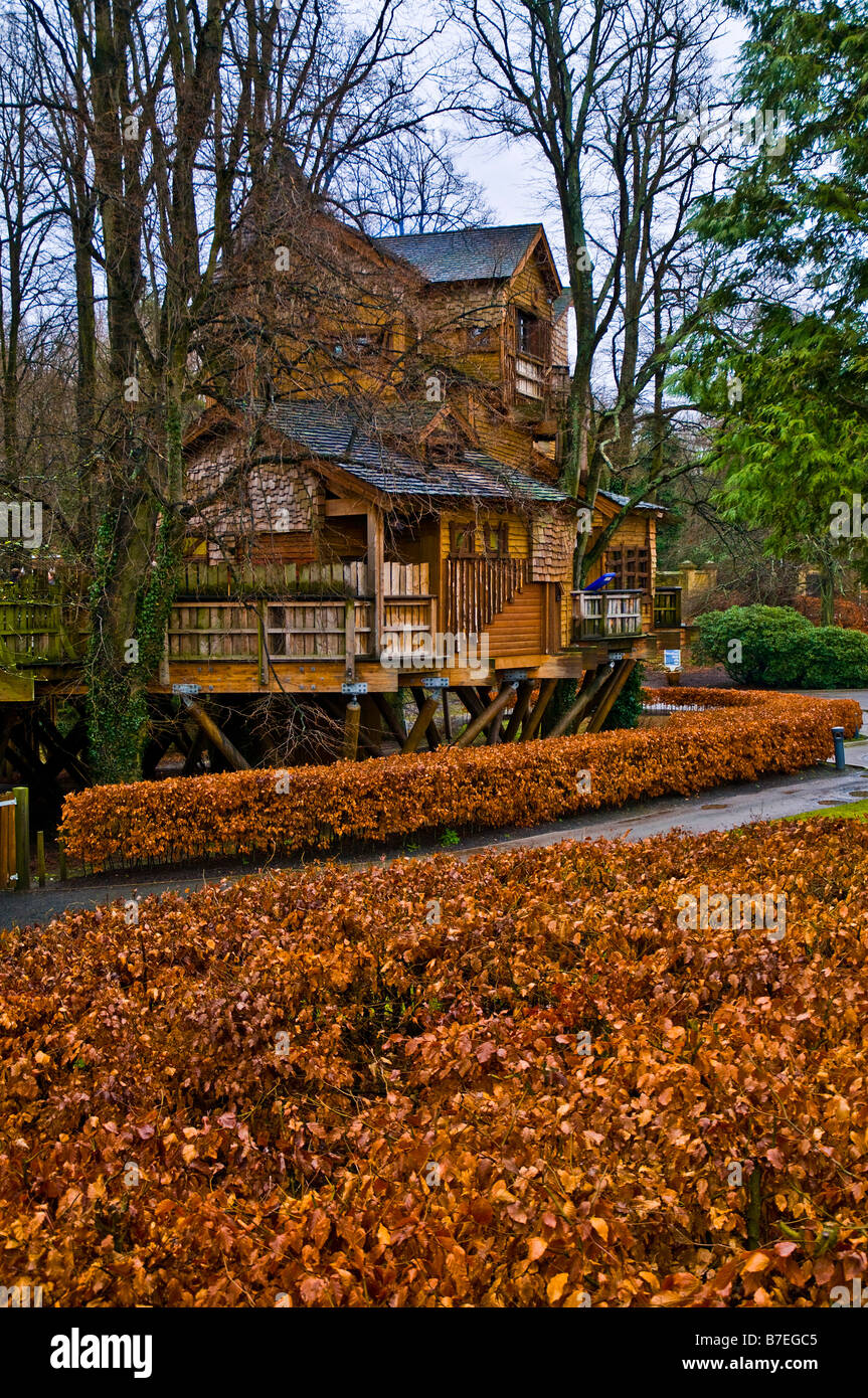 ALNWICK Alnwick Gardens NORTHUMBRIA dh maison de l'arbre d'hiver restaurant Banque D'Images